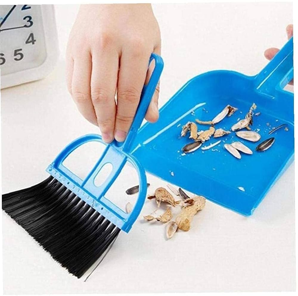 Dustpan with brush